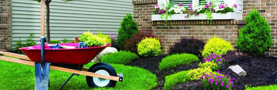 American Lawn Care & Irrigation